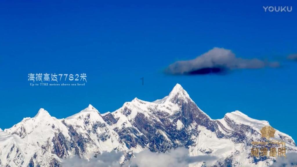 自由小迷宫