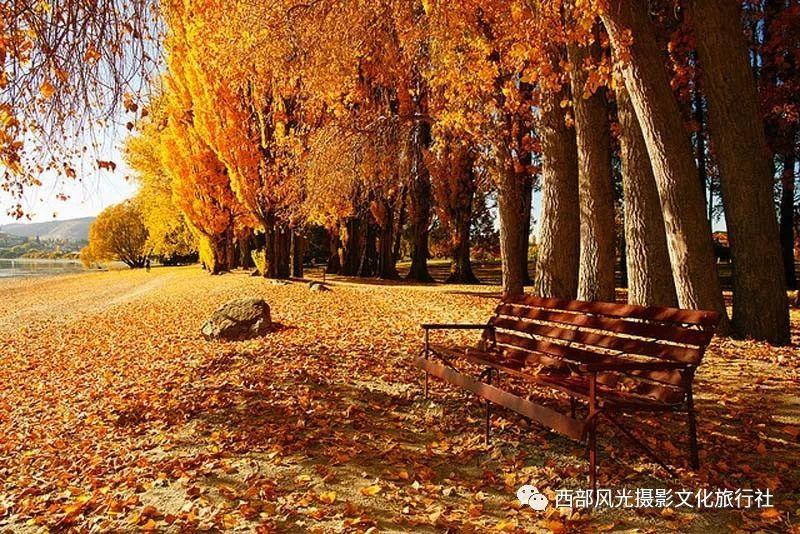 一趟公路旅行