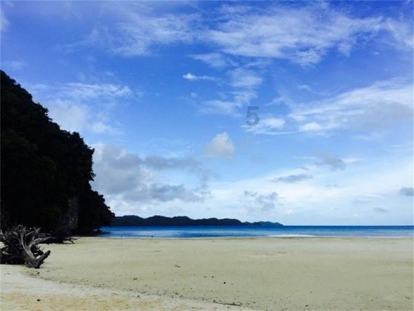 最新成果！洛阳伊川徐阳墓地又发现车马坑