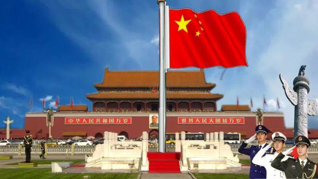 救援淘气的小狗