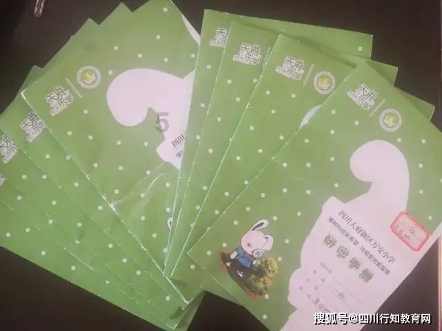 揭秘江苏女排不敌天津女排的真正原因施海荣或许就没想赢