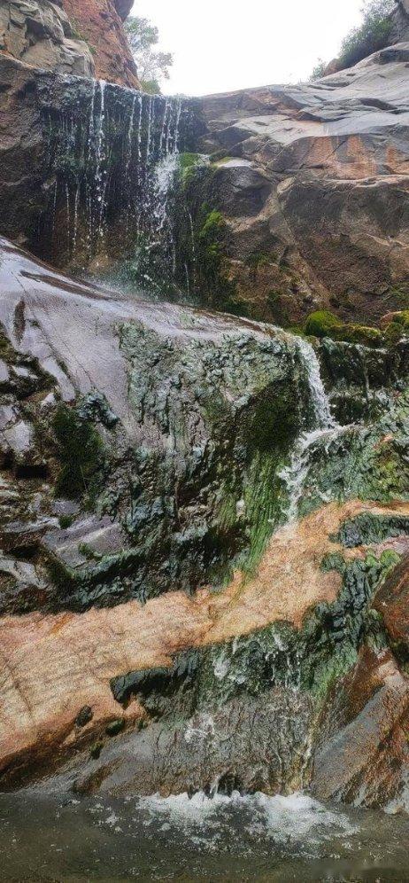 水果益智对对碰