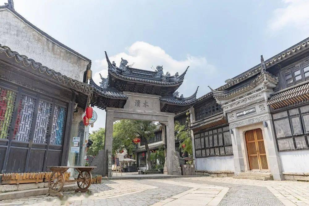 赵薇与林心如：演技之争与张铁林的独特见解
